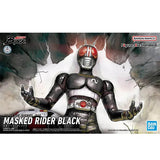 Bandai Kamen Rider Model Kit FRS Zero One Rising Hopper Kiva Gaim Oran